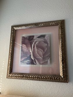 Framed Rose Print Wall Art for both frames