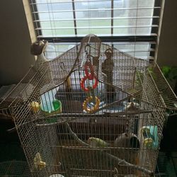 Large Bird Cage