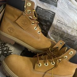 Timberline Shoes 