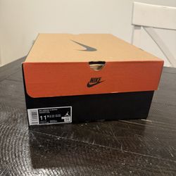 Brand New Air Jordan Retro 12 “Flu game”