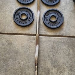 Gym #Gym Equipment #weights 