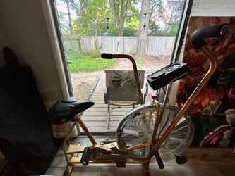Vintage Schwinn Airdyne