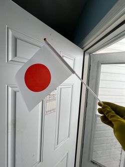 Japan Flags