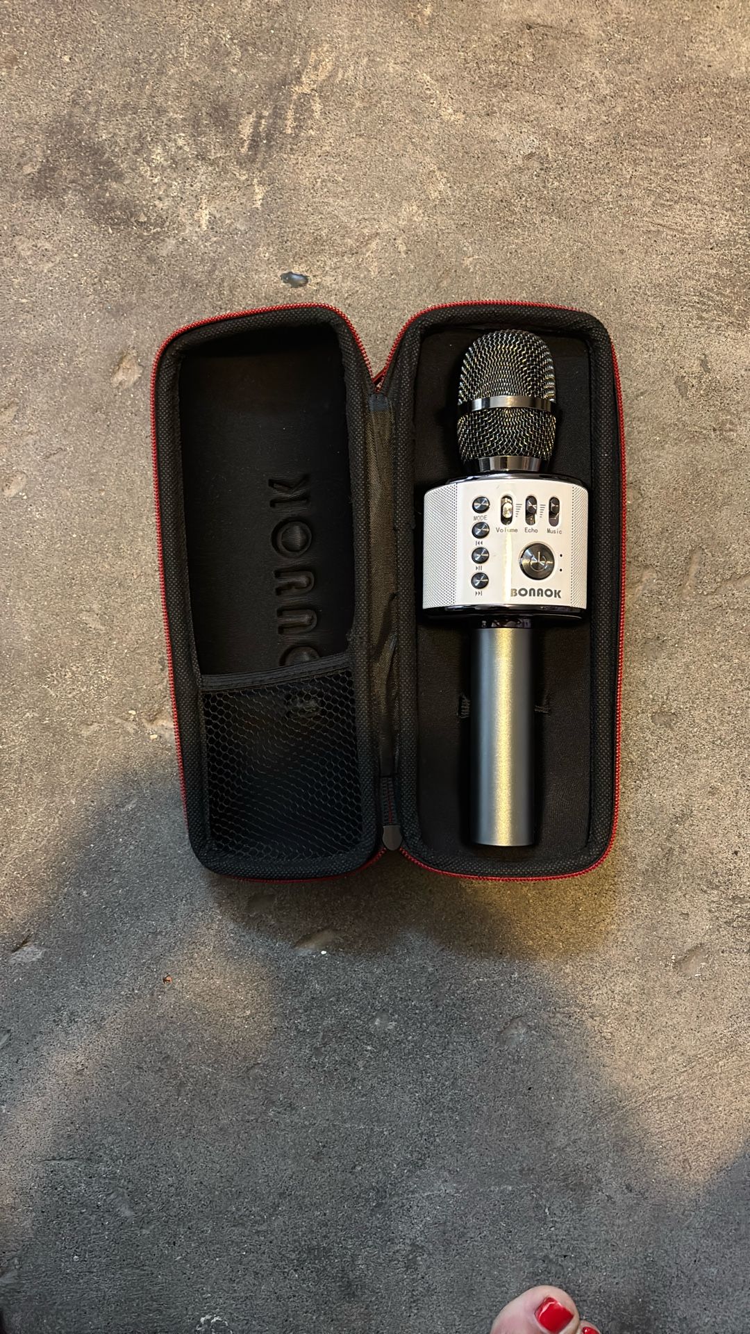 Karaoke Microphone With Case