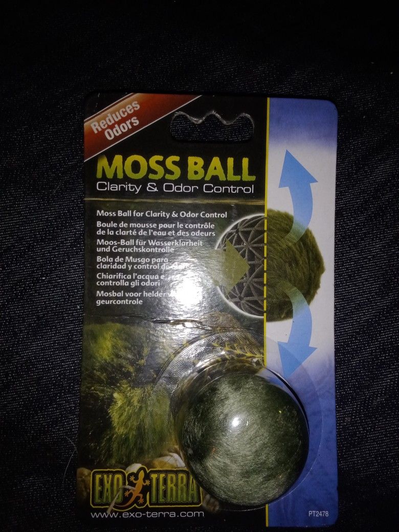 Cat Moss Ball