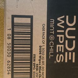 DUDE Wipes Mint Chill Flushable Wipes
