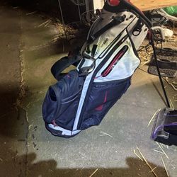 Nike Air Hybrid 2 Golf Stand Bag.  