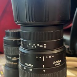 EF Macro And Zoom Lenses 