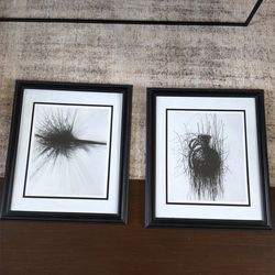 Framed Art