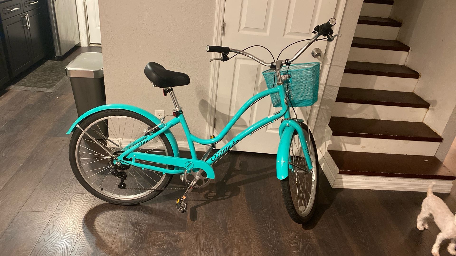 Cruiser Bicycle’s
