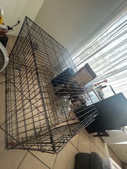 Big dog cage