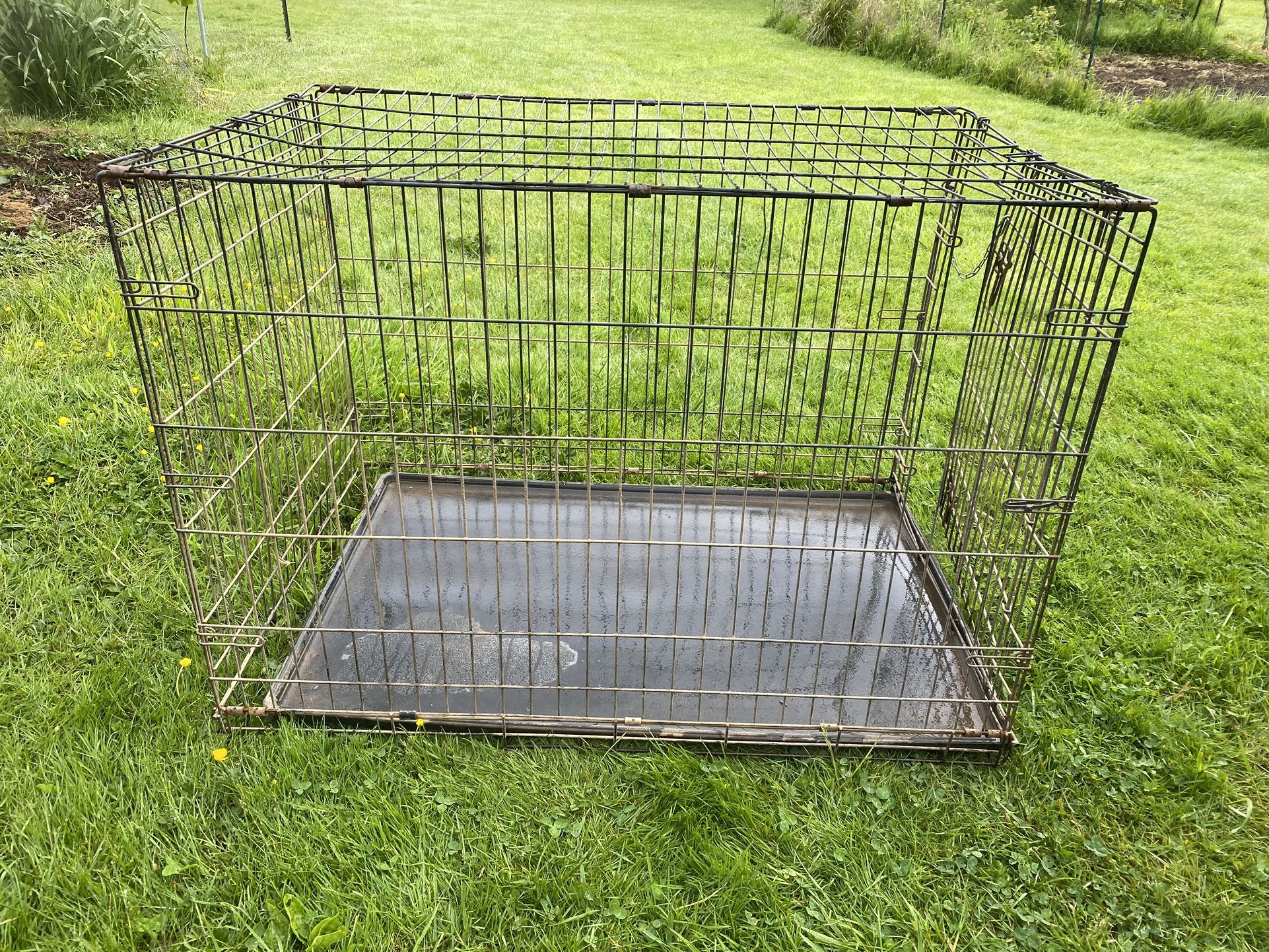 XL Dog Crate