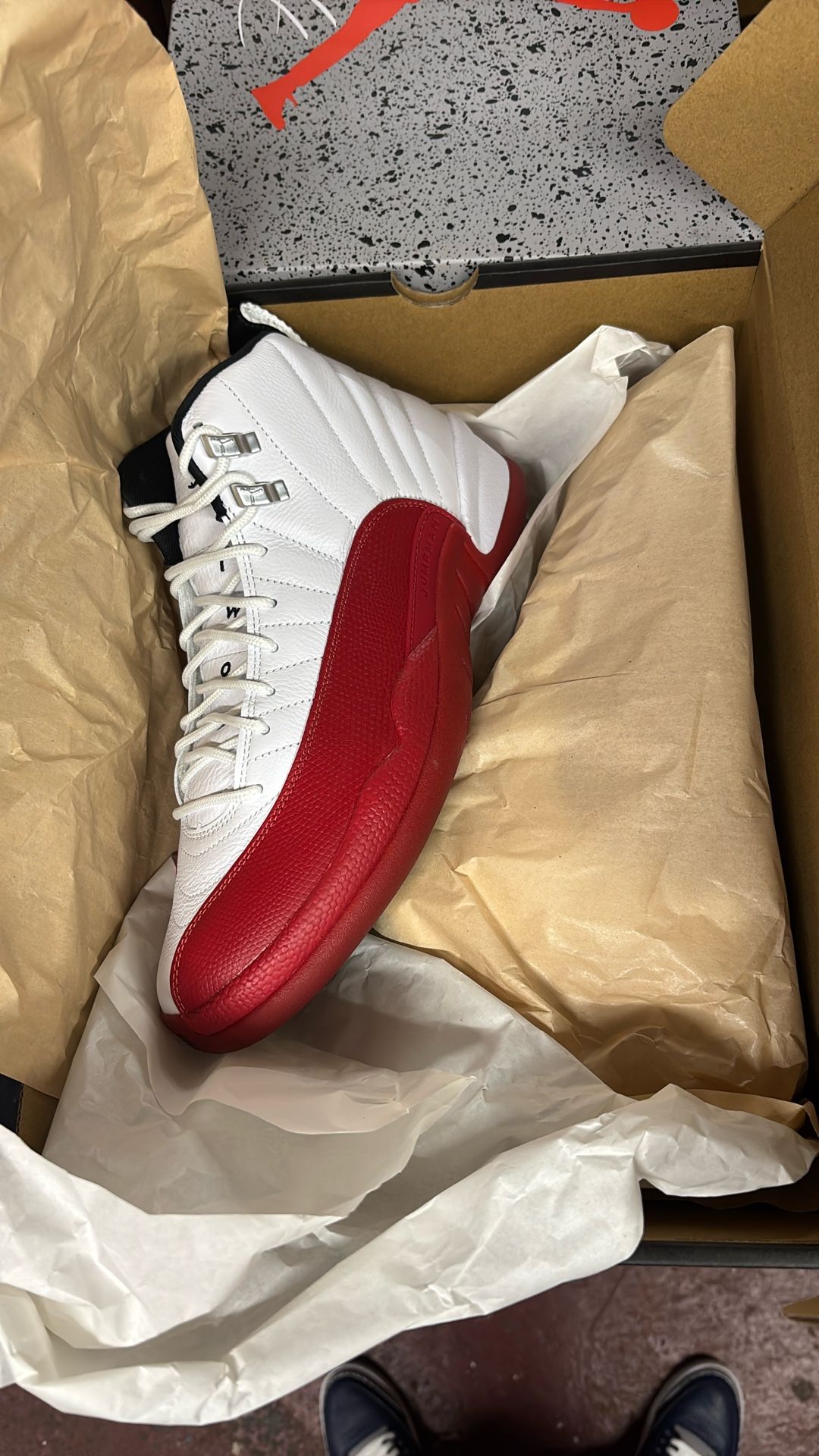 Air Jordan 12 Size 9.5