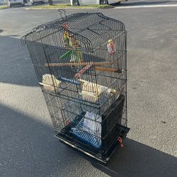 Tall, black metal bird cage