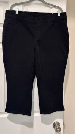 Lane Bryant High Waisted Skinny Fit Jeggings