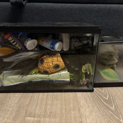 Beta Fish Tank
