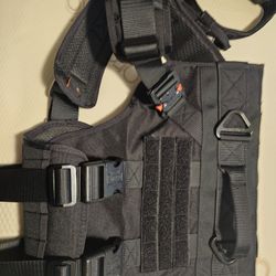 Brand New XL Dog Collar And Harness