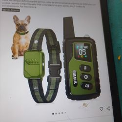 Defined Shock Collar for Dog