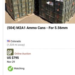 22 Ammo Box(Empty)
