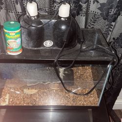 Fish Tank With Heat Lamp