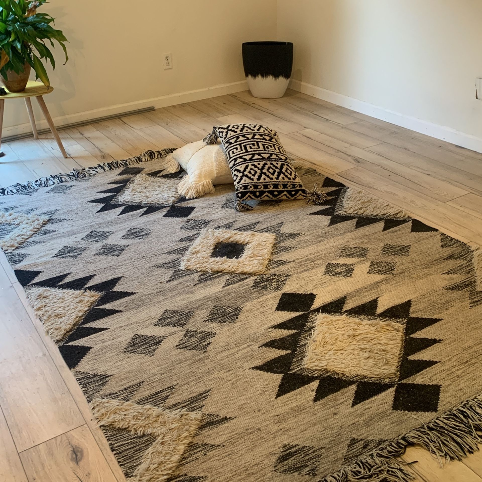 Beautiful Rug, Matching Pillows And Flower Pot.