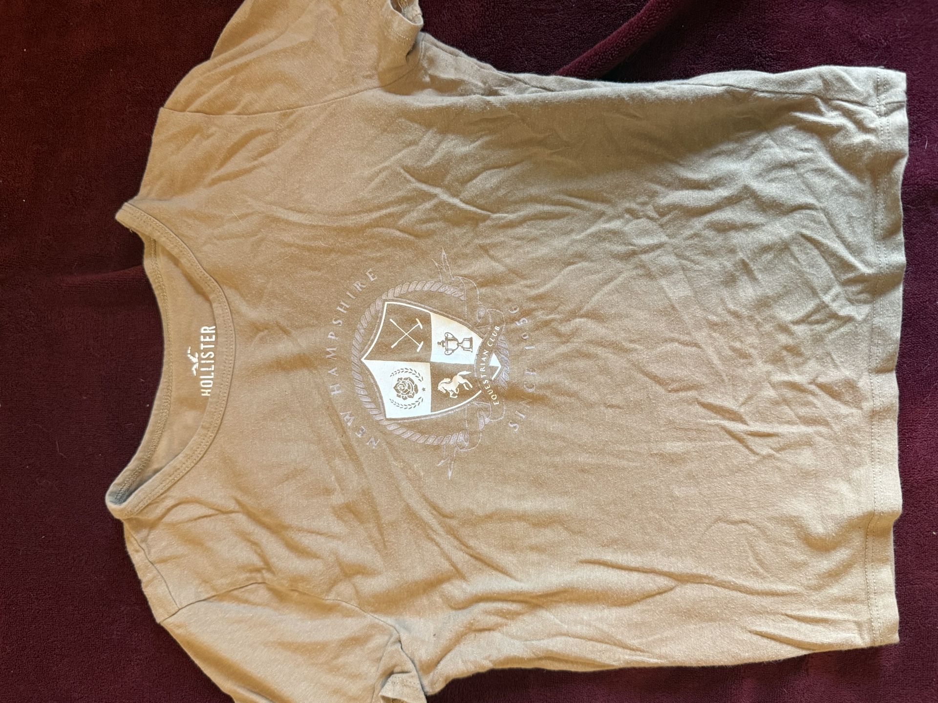 Hollister Equestrian Shirt 