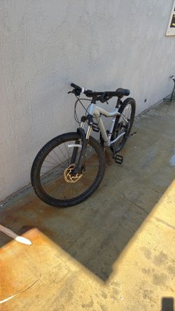 Mountain bike