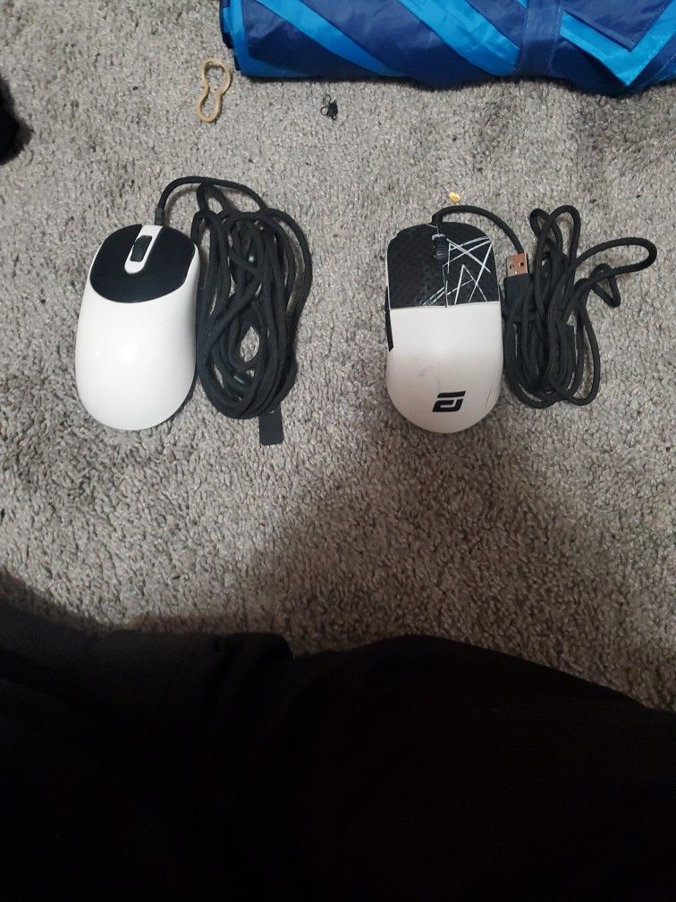 Zygen And Endgame Gear Mouse