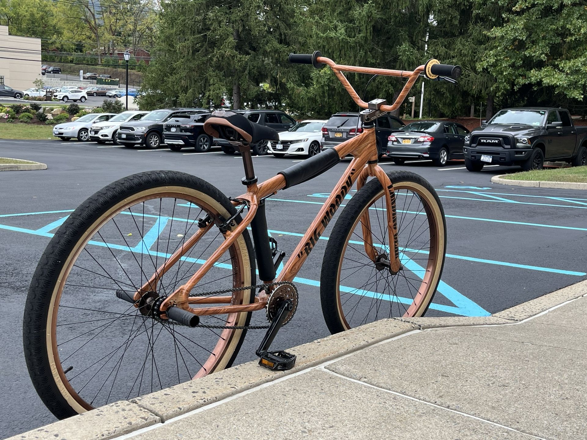 Big Woody SE Bike Stock