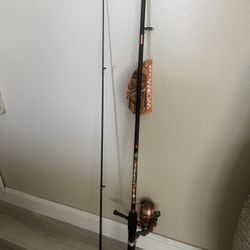Fishing Pole