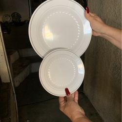 Dinner Disposal Plates 