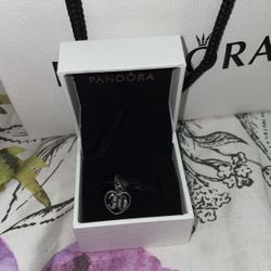 30 Pandora Charm