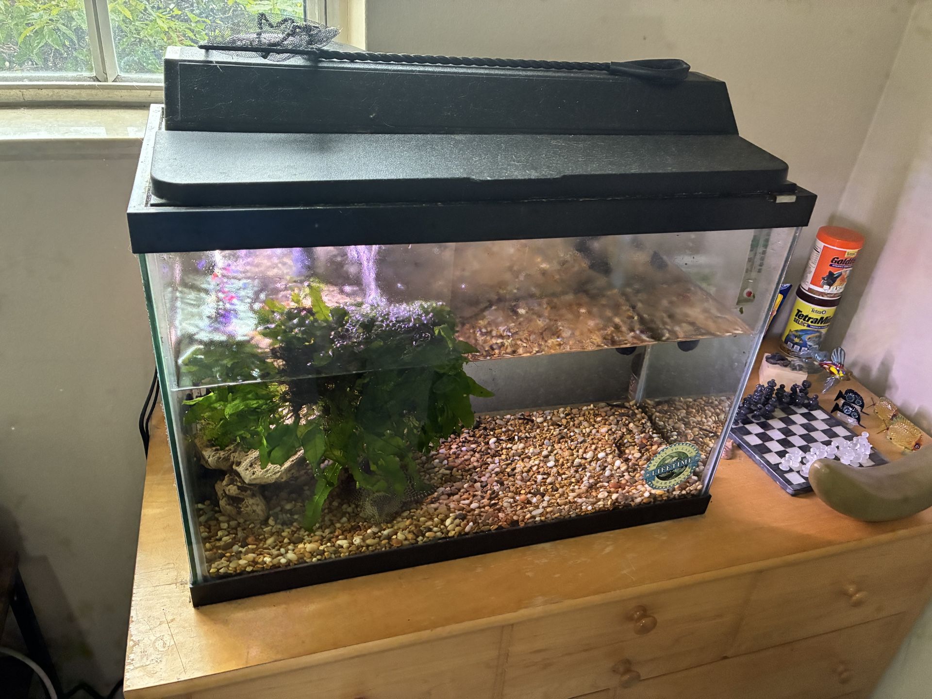 Aquarium 20 Gallon Fish Tank