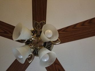 48" Ceiling Fan with 5 Blades