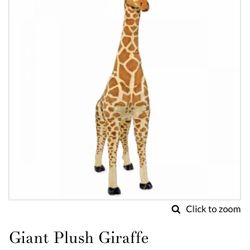 Giraffe 