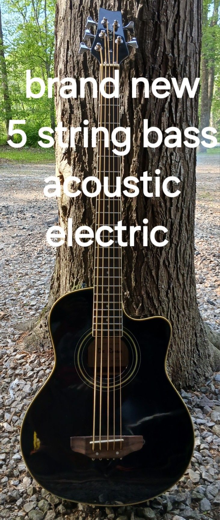 Brand New 5 String Acoustic Electric Bass Guitar