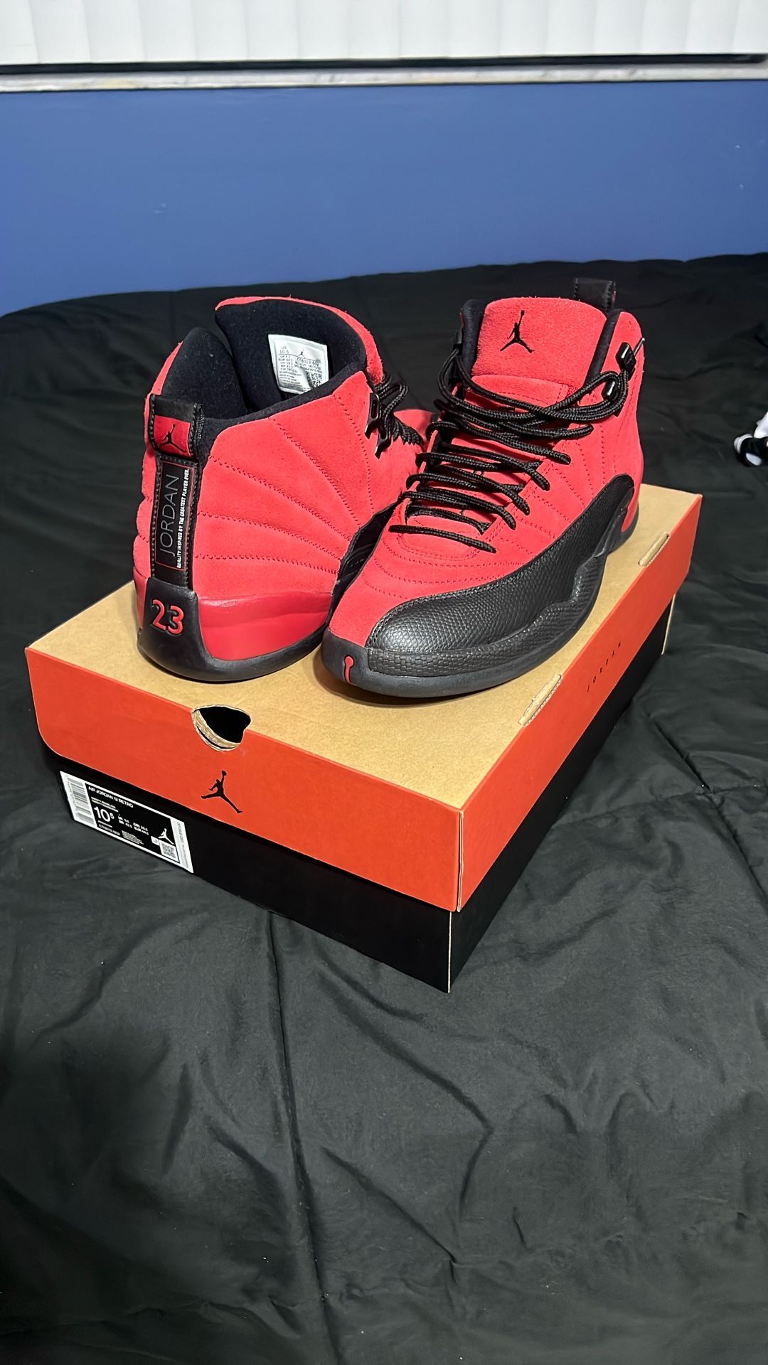 Jordan Retro 12 - Reverse Flu Game
