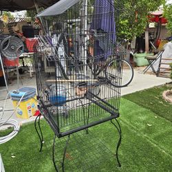 Bird Cage