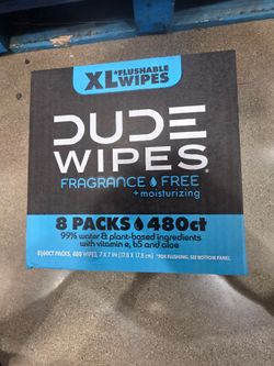 Dude Wipes XL Flushable Wipes 8-Pack 480ct