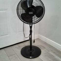 Fan 