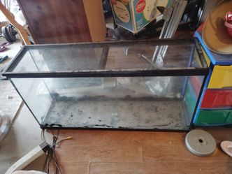 Aquarium, fish tank, reptile tank