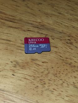 256 GB sd card