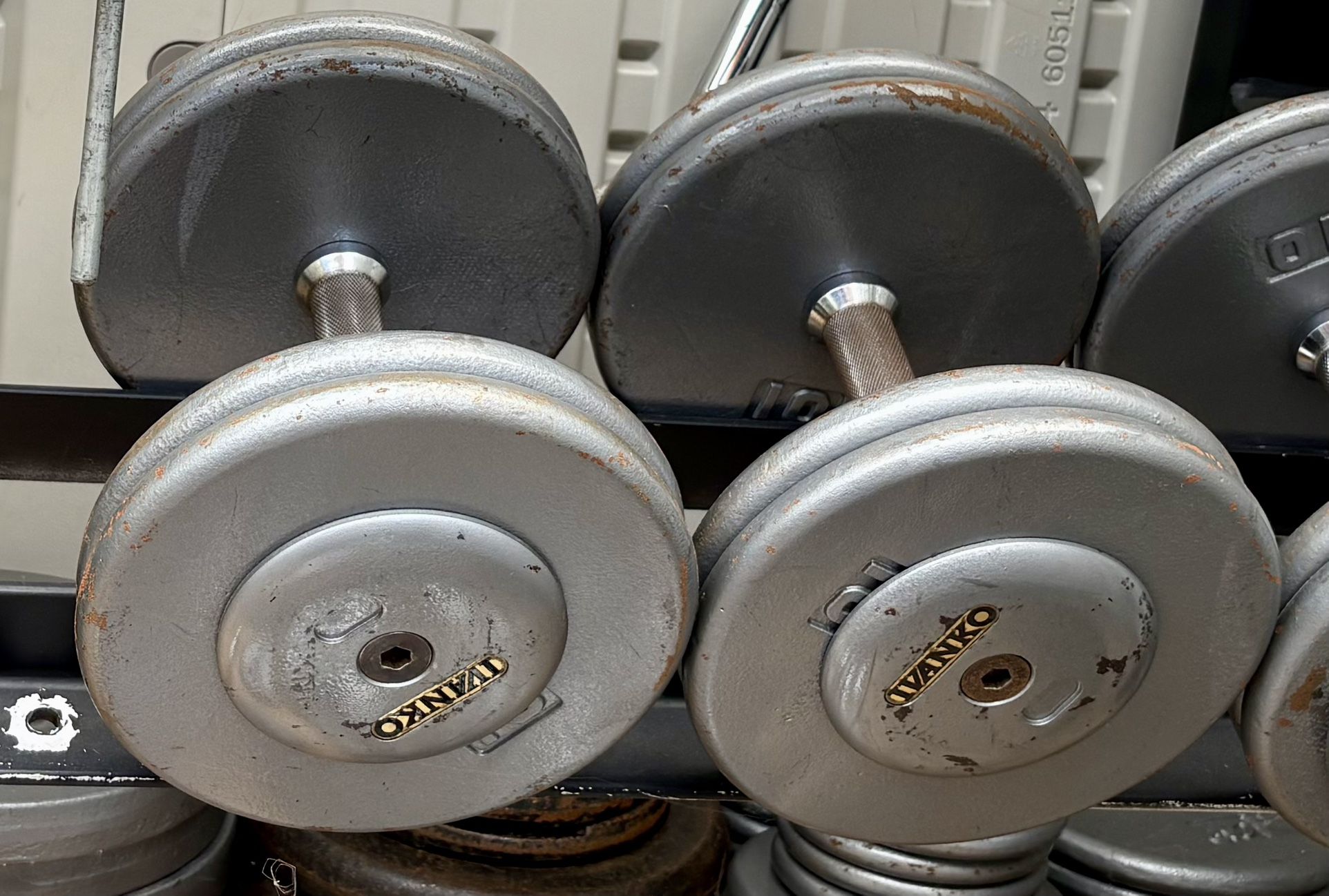 Set of 45 lb Ivanco Dumbbells