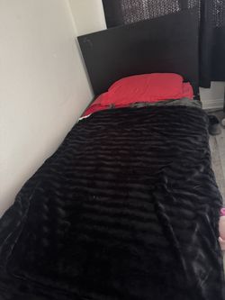 Twin Bed