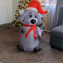 Christmas Raccoon