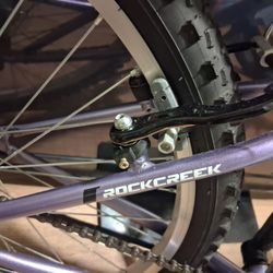 Girl Bike 