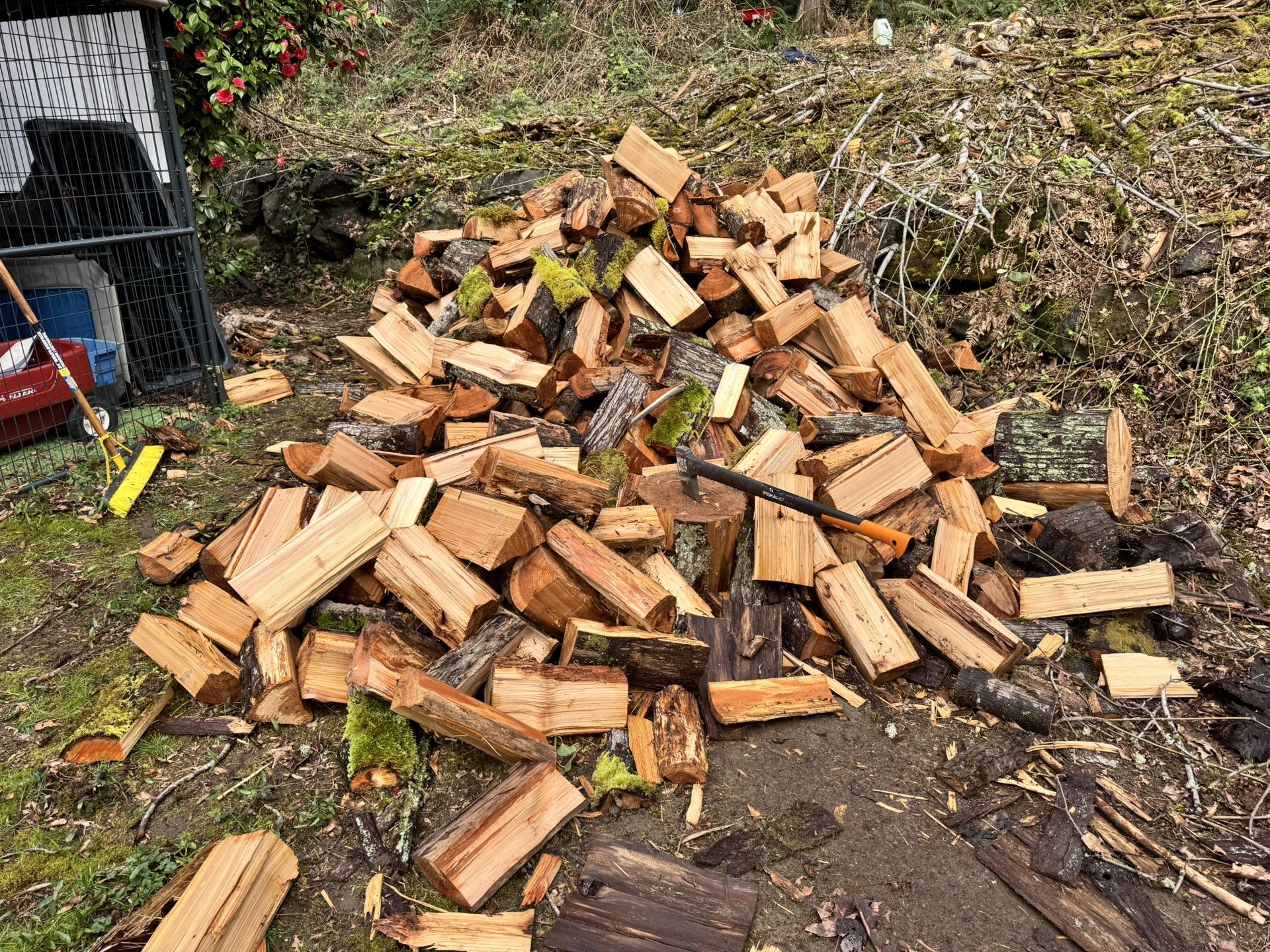 Firewood