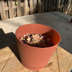 Flower Pot With Mini Compost For Beginners / Compost Starter