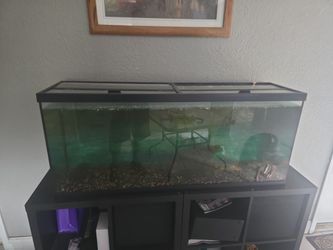 75 gallon fish tank