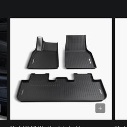 Brand new model y all weather floor mats